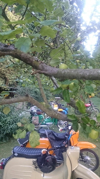 Sommerparty 2015 Sommerparty 2015